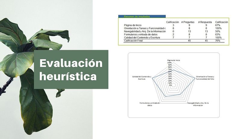 Mi Proyecto del curso: Principios fundamentales de UX 10