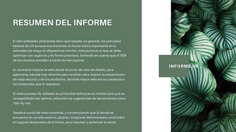 Mi Proyecto del curso: Principios fundamentales de UX 14