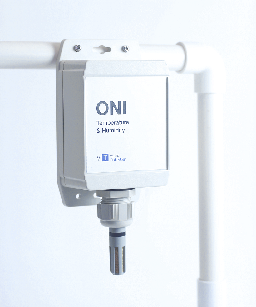 Verse Technology  19