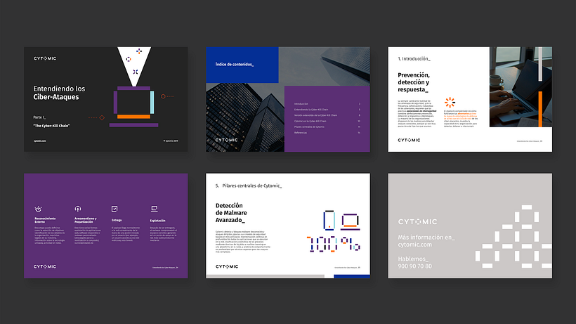 Cytomic Branding - Design