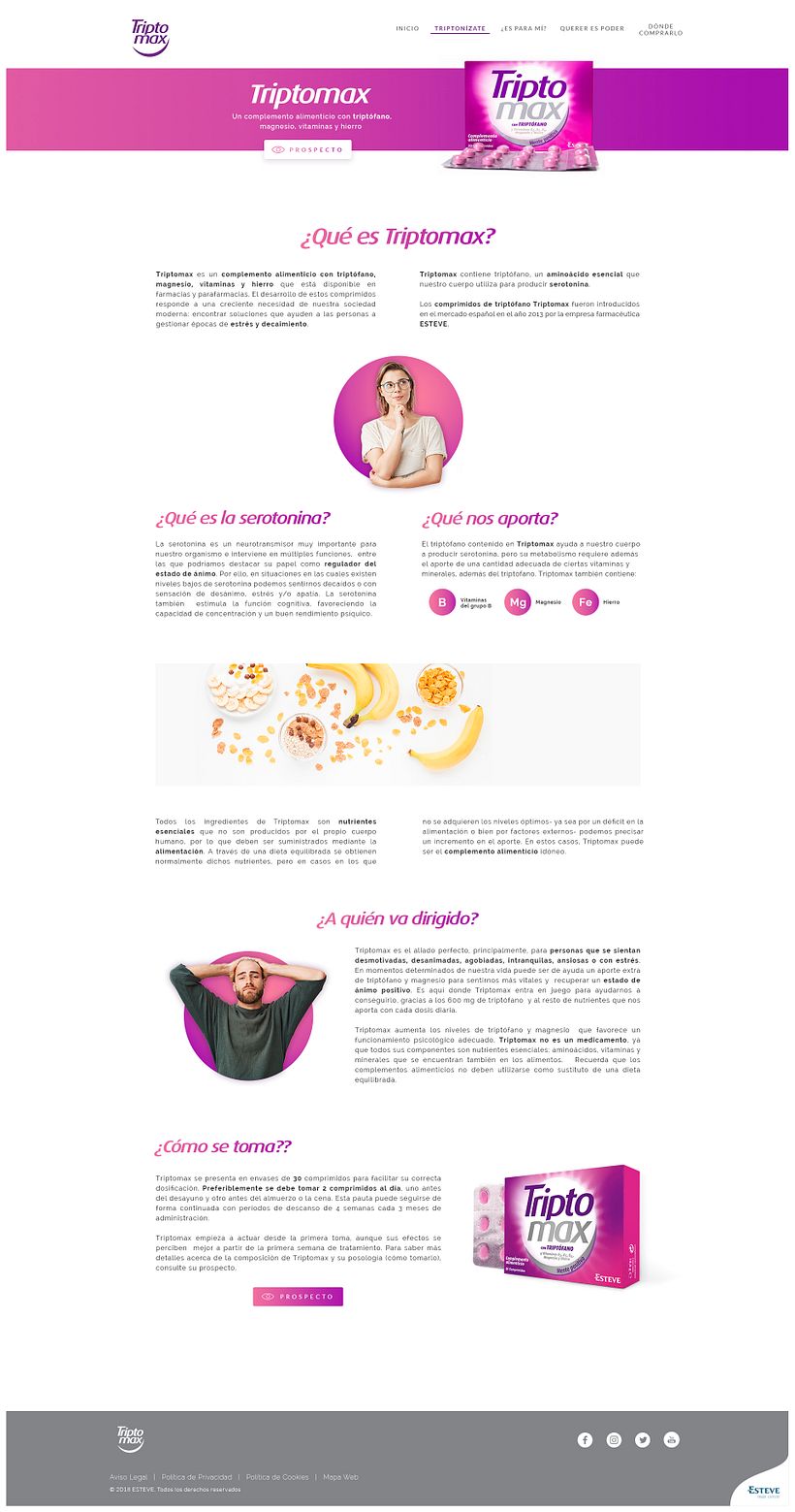 Proyecto WEB Triptomax 2