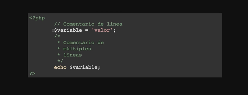 Dos ejemplos de comentario: de línea única y de múltiples líneas.