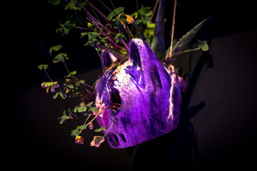 Dar vida a un Aluxe / Vertigo Galeria, Mexico, 2017. 8
