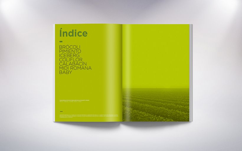 Unexport "Catálogo técnico" 0