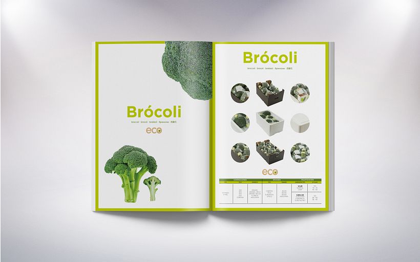 Unexport "Catálogo técnico" 1