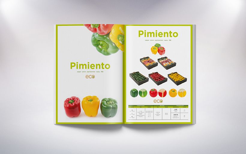 Unexport "Catálogo técnico" 2