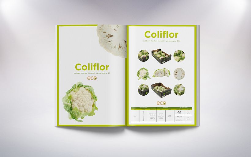 Unexport "Catálogo técnico" 3