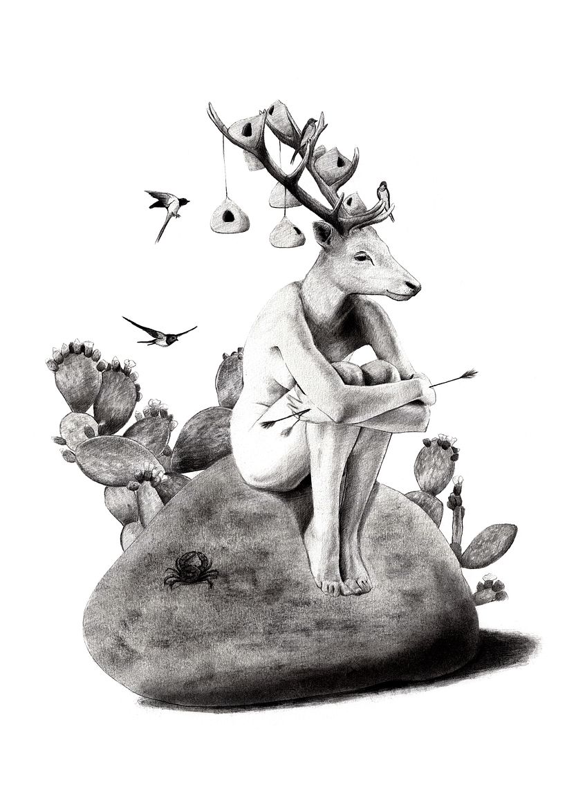 Heer - Grafito sobre papel.