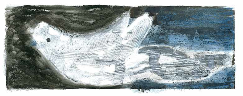 Diseño e ilustración editorial. Cubiertas 2