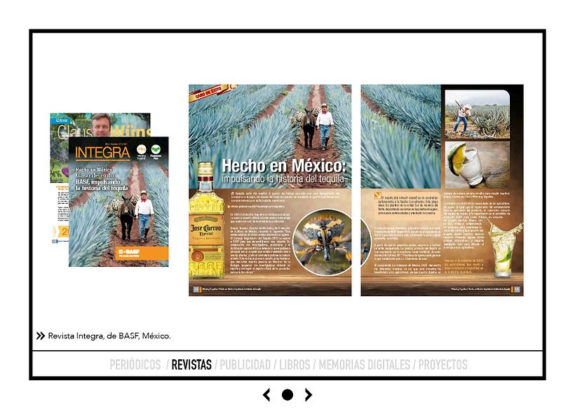 Portafolio de Andrés Catama - Design grafic