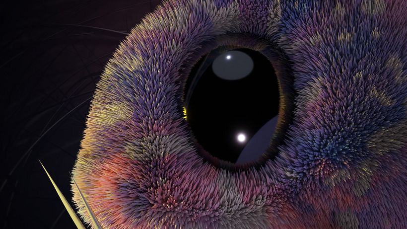 Furry fish - 3D