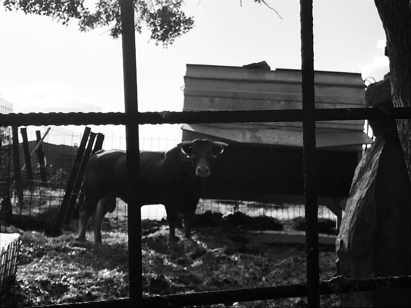 “fotografiamos almas sin saber que realmente nos capturamos a nosotros mismos”