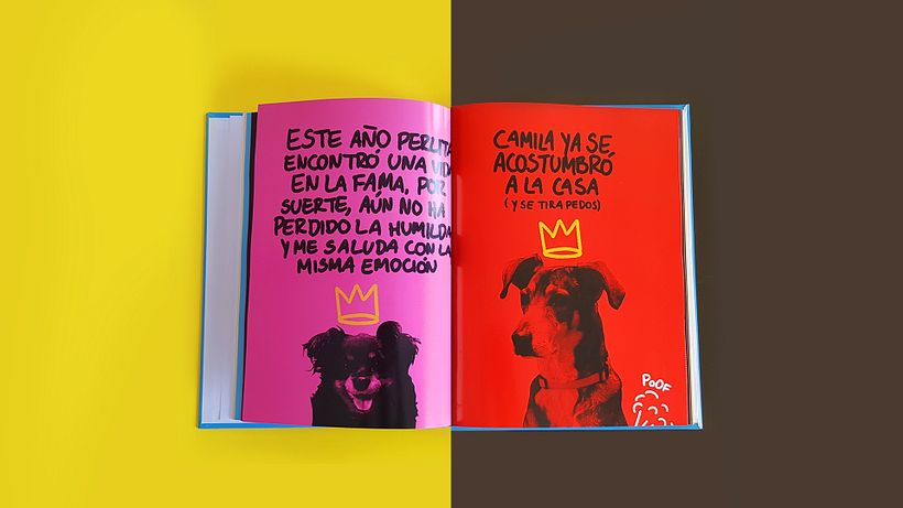 El Libro de los 5 años - Ilustración tradicional