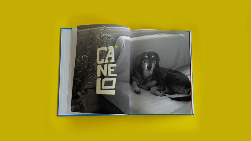 El Libro de los 5 años - Ilustración tradicional
