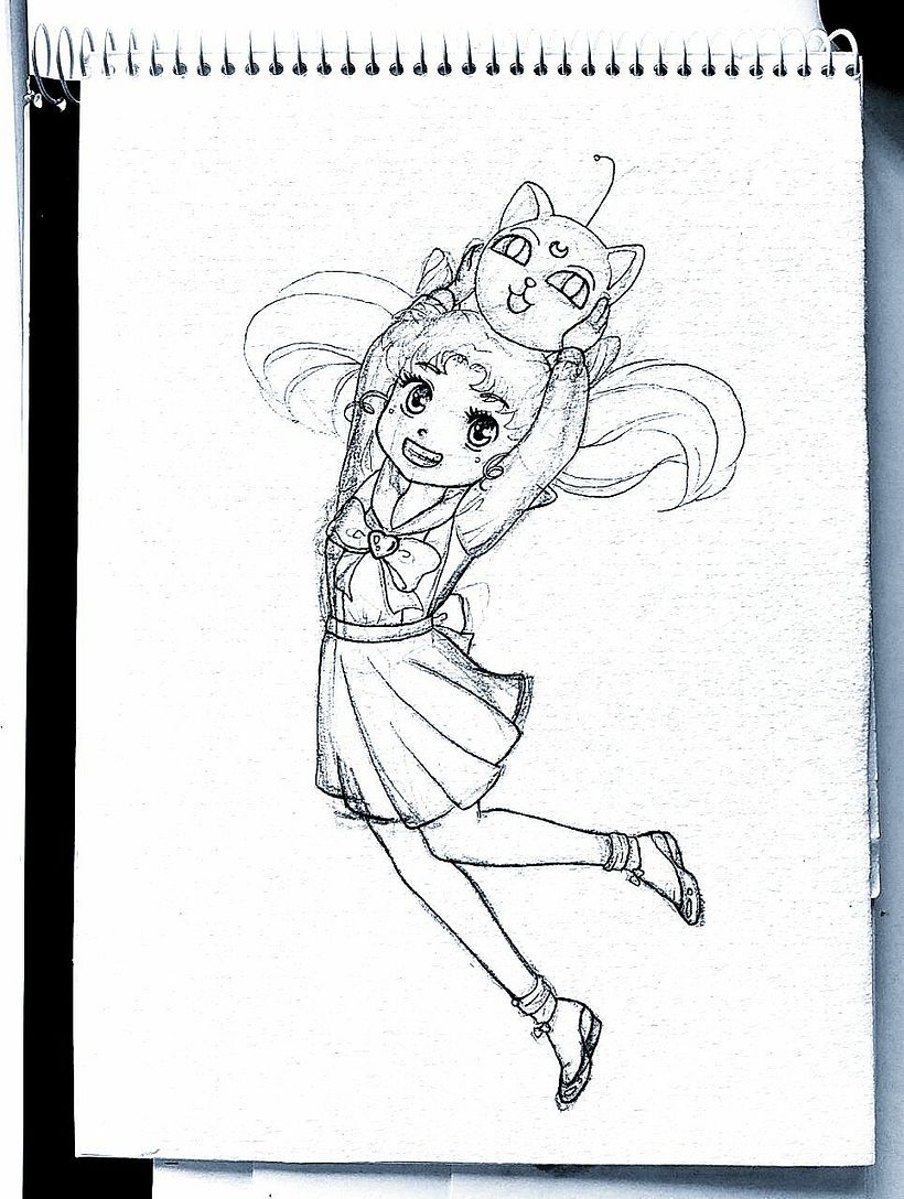Boceto
