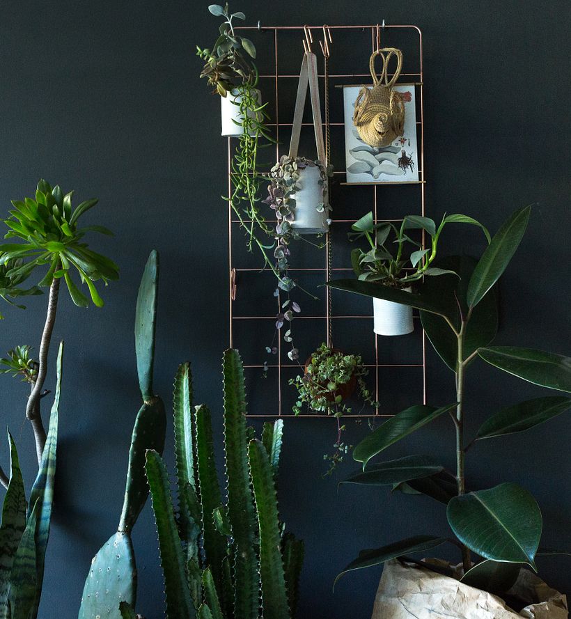 Consejos para la composición de rincones botánicos 1