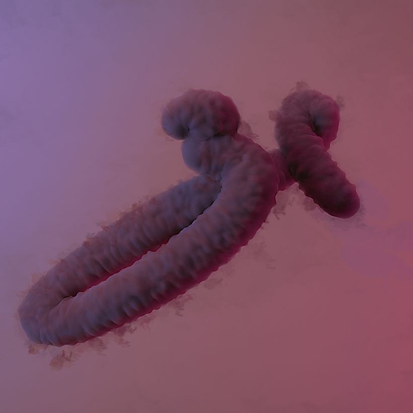 Mi Proyecto del curso: Técnicas avanzadas de lettering 3D con Cinema 4D  0