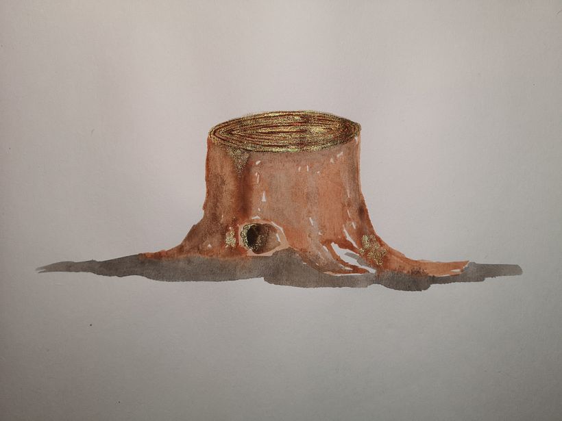 Día 1 - Anillo