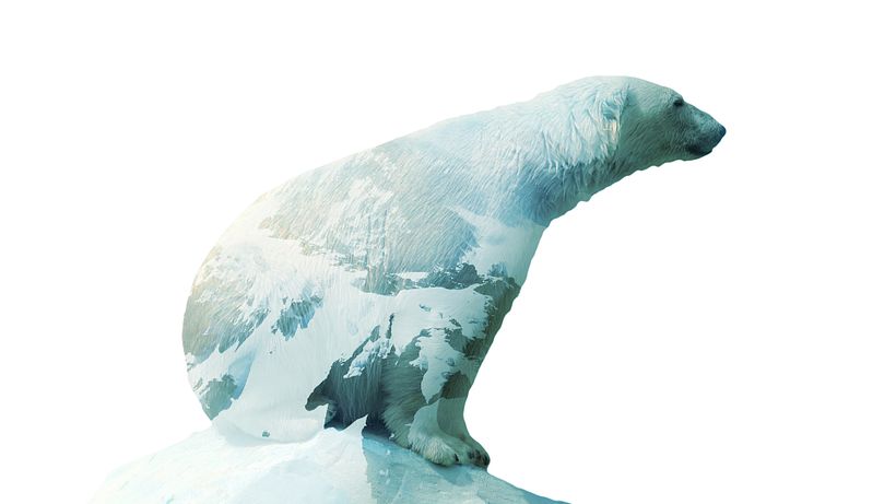 Efecto de doble exposición 0