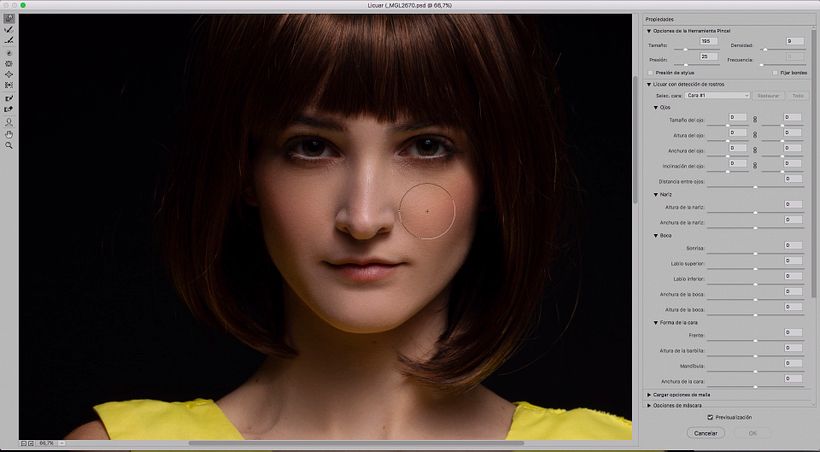 Mi Proyecto del curso: Creación de personajes con Photoshop 2