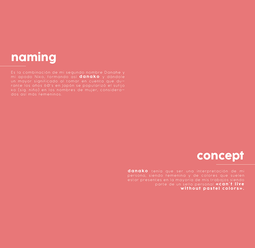 Danako | Branding & illustration  0