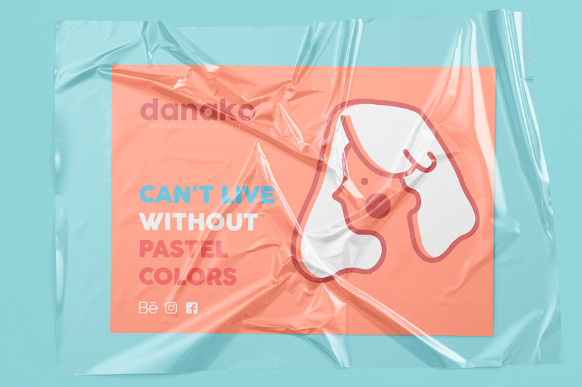 Danako | Branding & illustration  6