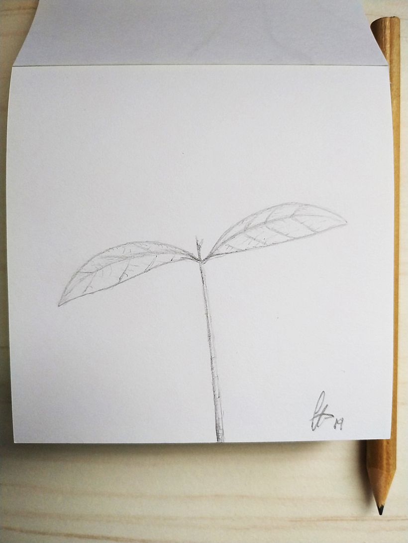Inktober: dibuja, comparte y gana 1