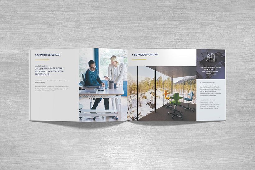 Diseño y maquetación de páginas interiores.