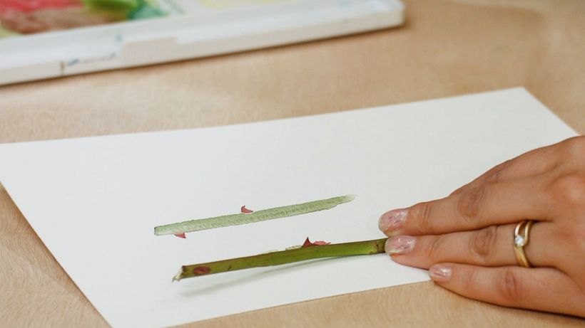 Tutorial Acuarela: texturas con vellos y espinas 6