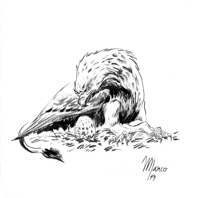 Inktober: dibuja, comparte y gana 1