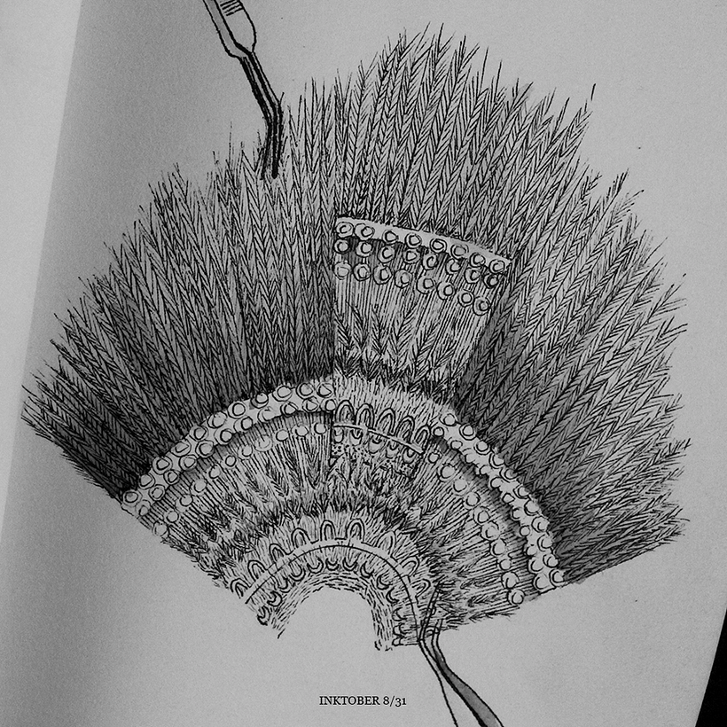 Inktober: dibuja, comparte y gana 1