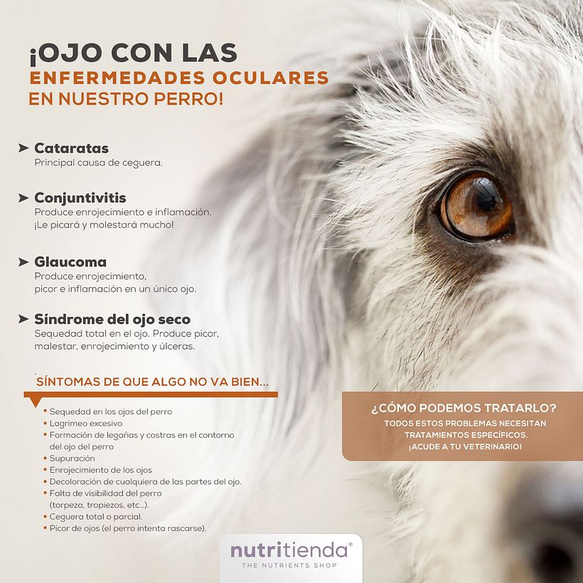 Post para redes sociales 3