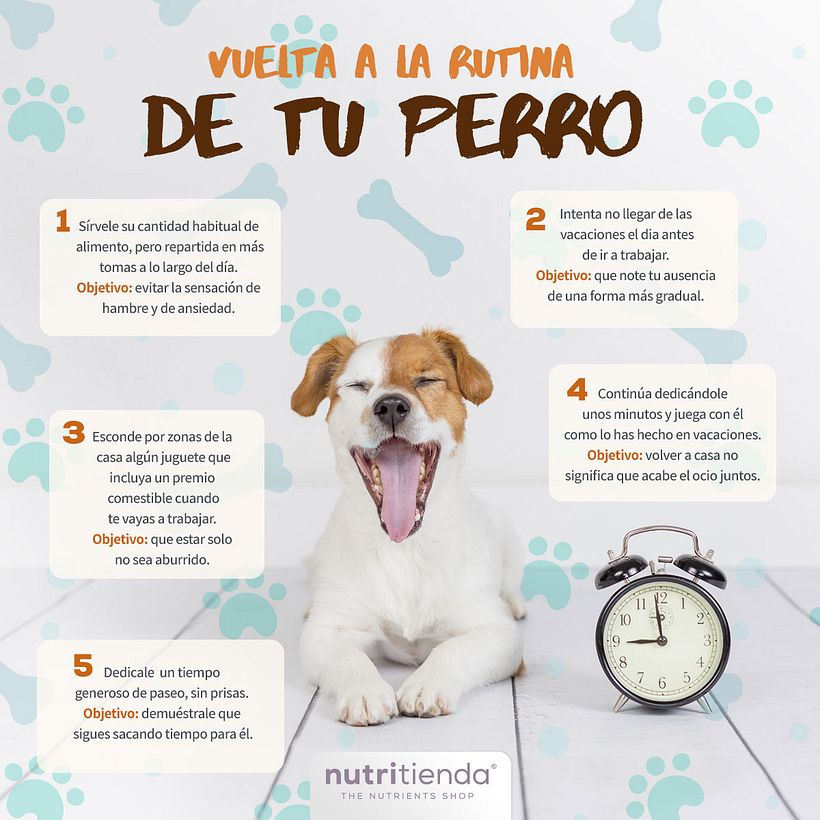 Post para redes sociales 4