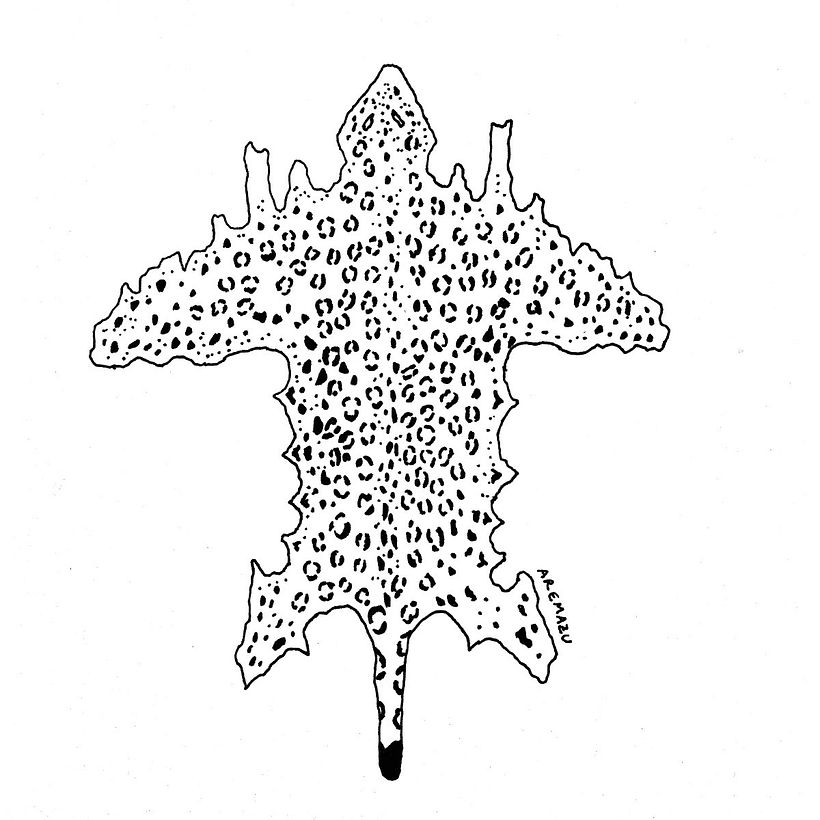 Inktober: dibuja, comparte y gana 1