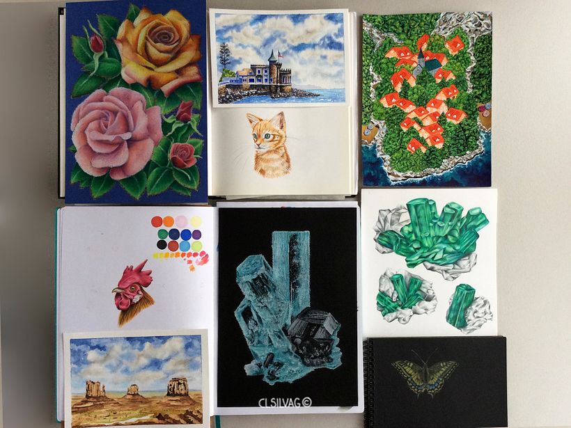 Algunos trabajos análogos de lápices de colores, gouache, acuarela y pasteles grasos.