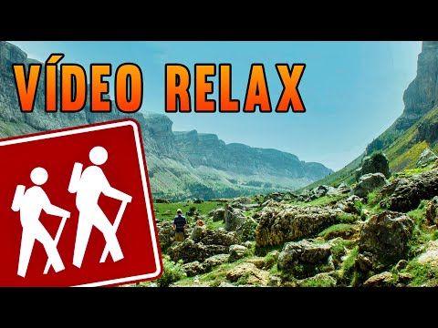 Busco Editor de video para Youtube 1