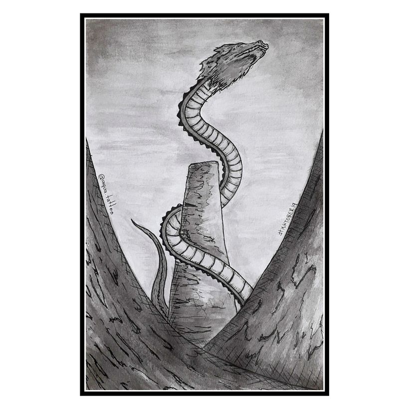 DRAGÓN 