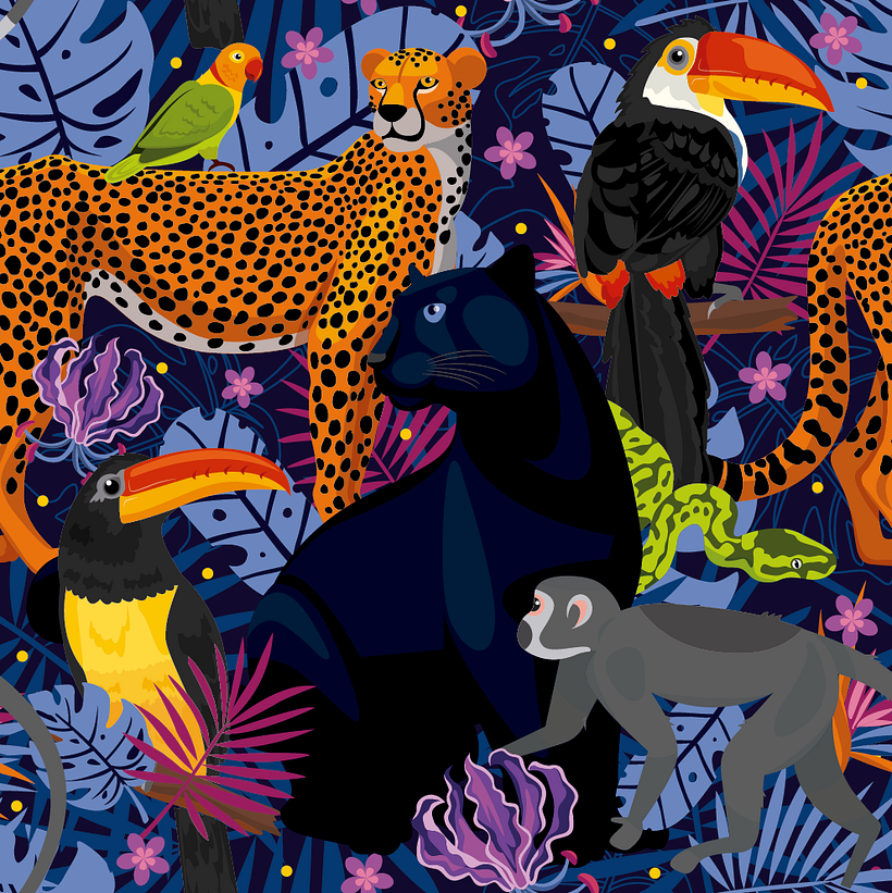 Noite das Espécies Colombianas