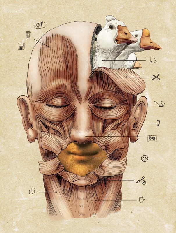 ILLUSTRATIONS 27