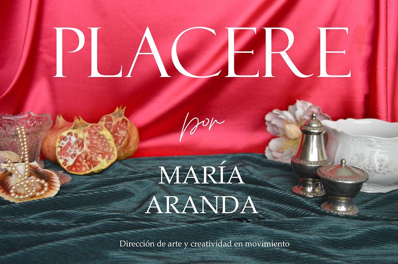 P L A C E R E - Animation