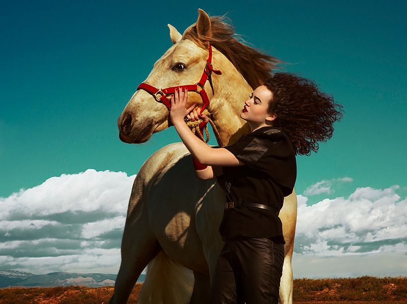 Equus Ferus 1