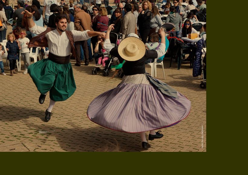 Mata Escrita — identitat visual 2