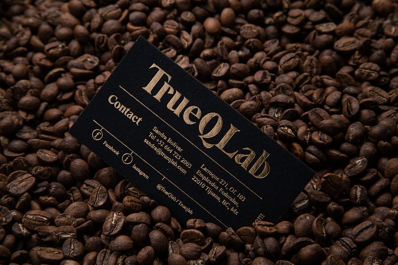truequeLab 9