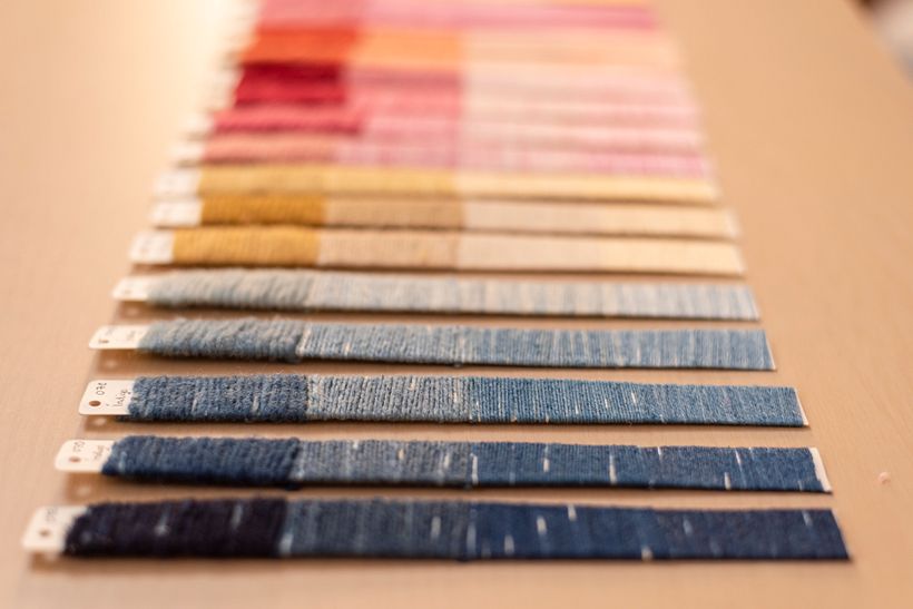 Mi Proyecto del Curso: Bitácora de Teñido Natural 1