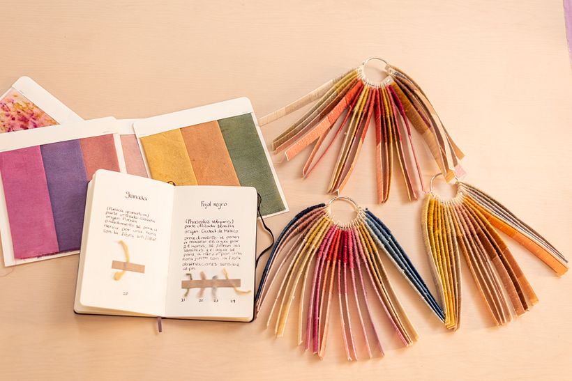 Mi Proyecto del Curso: Bitácora de Teñido Natural 2