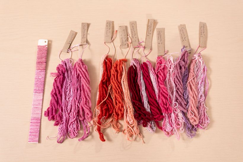 Mi Proyecto del Curso: Bitácora de Teñido Natural 3