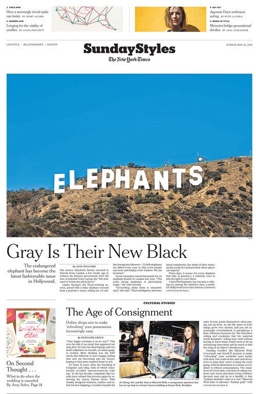 Gray Is Their New Black 2