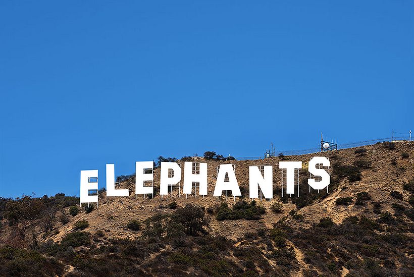 Gray Is Their New Black 1