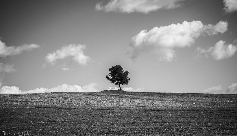 B&W Street Photography -1