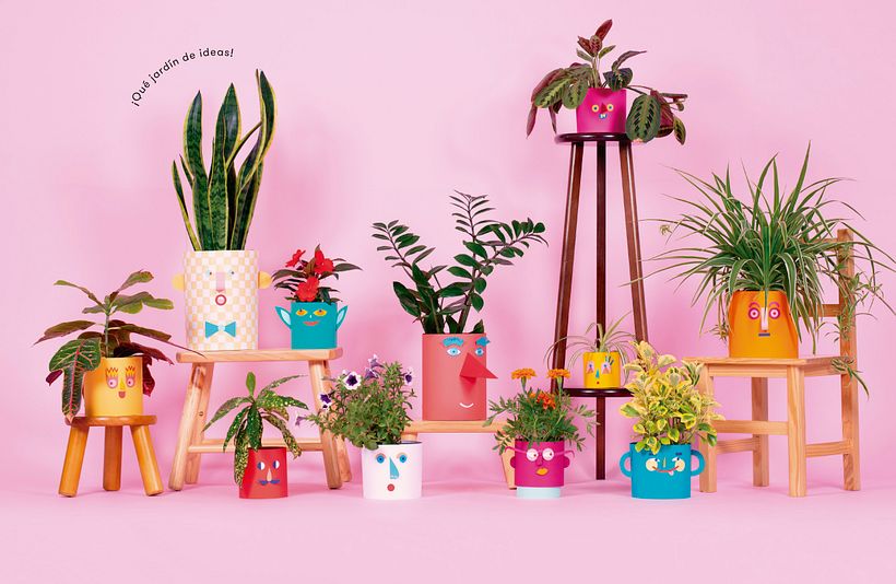 Fotografía interior, repertorio de macetas